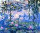 Water Lilies 1919 1