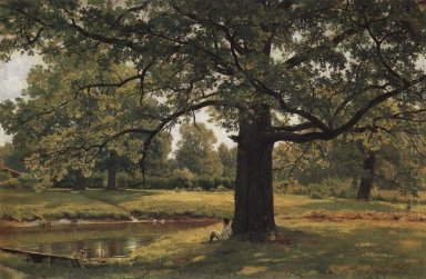 Oaks nella vecchia Peterhof 1891 1