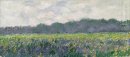 Fält av gula Irises At Giverny