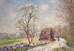 along the woods in spring 1889