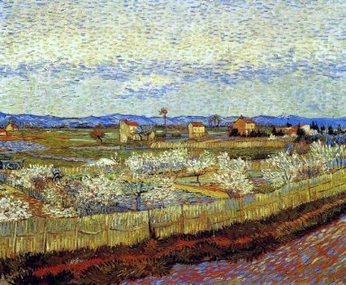 Peach Trees In Blossom 1889