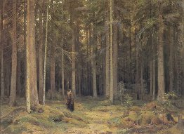 Countess Mordvinov S Forest 1891