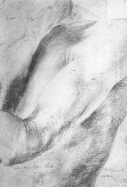 Forearm Study 1514