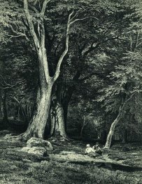 Forest 1869 1