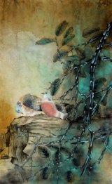 Birds - Chinese Painting