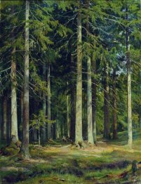 Fir Forest 1891