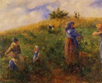 picking peas 1880