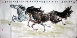 Horse - Chinese Painting