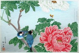 Peony and Paddy-birds