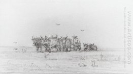 ploughing on oxen