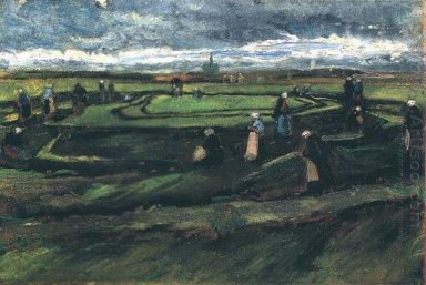 Nettenboetsters In De Duinen 1882