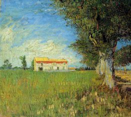 Farmhouse In A Wheat Field 1888 1