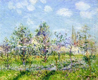 Blommande Orchard, Spring