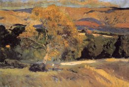 The Yellow Tree La Granja 1906