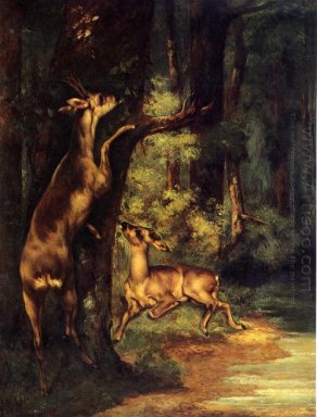 Cerf mâle et femelle dans les bois 1864