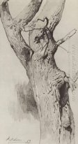 The Trunk Of An Old Tree 1883