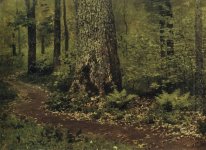 Fußweg in einem Waldfarne