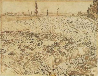 Campo di grano 1888