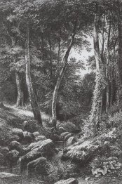 Forest Stream 1870 1