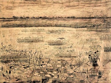 Marsh Mit Wasser Lillies 1881