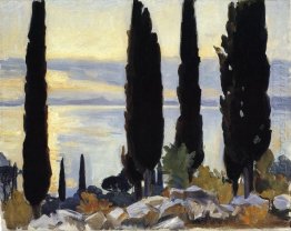 Cypress Trees At San Vigilio 1913