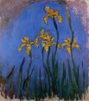 Gul iris 1917