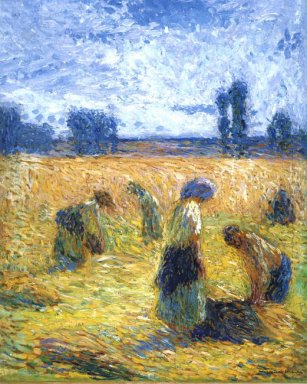 The Harvest