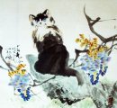 Cat - Pittura cinese