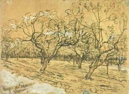 Orchard With Blossoming Plum Trees The White Orchard 1888