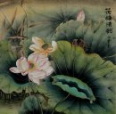 Lotus - pintura china