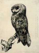 Barn Owl visto dal lato 1887