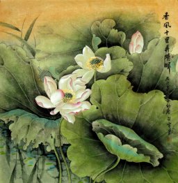 Lotus - Chinese Painting