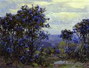 Mountain Laurel в цвету