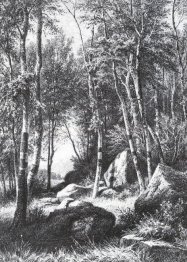 At The Edge Of A Birch Grove Valaam 1860