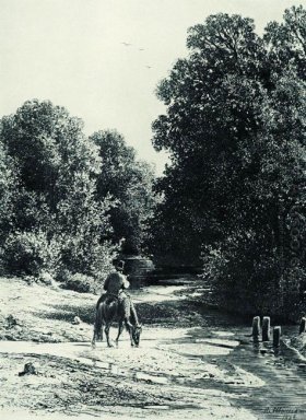 Foresta 1869 2