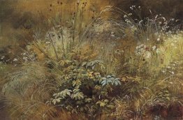 Grass 1892