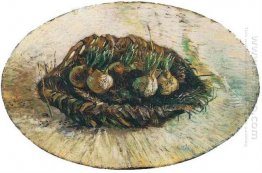 Basket Of Sprouting Bulbs 1887