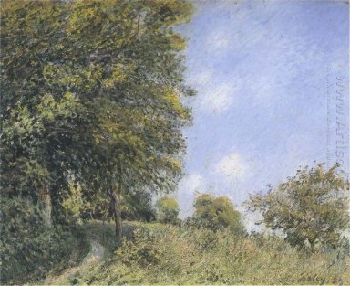 julio por la tarde cerca del bosque 1887