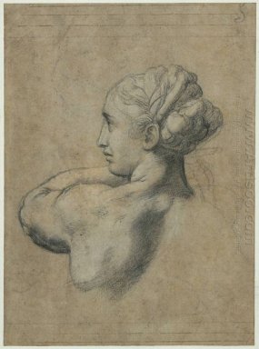 Testa Di Una Donna 1520