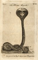 Serpiente con capucha