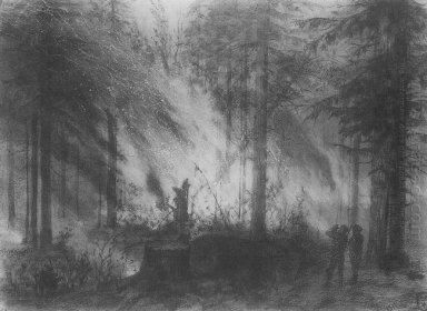 Feuer im Trocken Cobra 1870