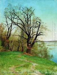 Oak On The Riverbank 1887