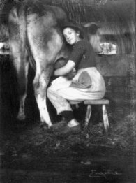 Woman Milking Cow