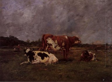 Koeien In Wei