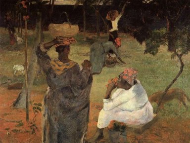 recolectores de mango martinica 1887