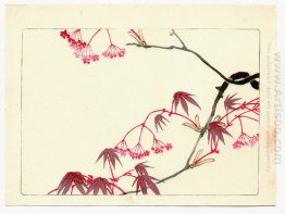 Red Maple - Hana Kurabe