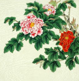 Peony - Chinese Painting