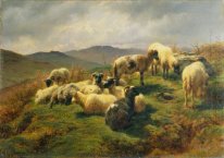 Sheep in the Highlands