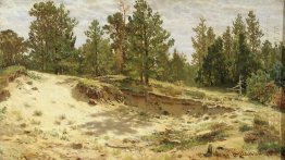 Young Pines On The Sandy Cliff Mary Howie On Finnish Railways 18