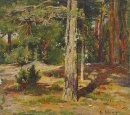 Pines Sommar Landskap 1867